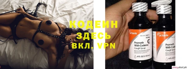 эйфоретик Баксан