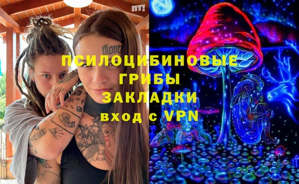 СК Балахна