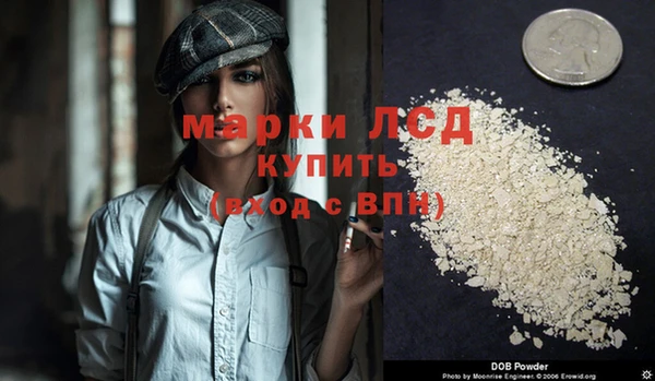 эйфоретик Баксан
