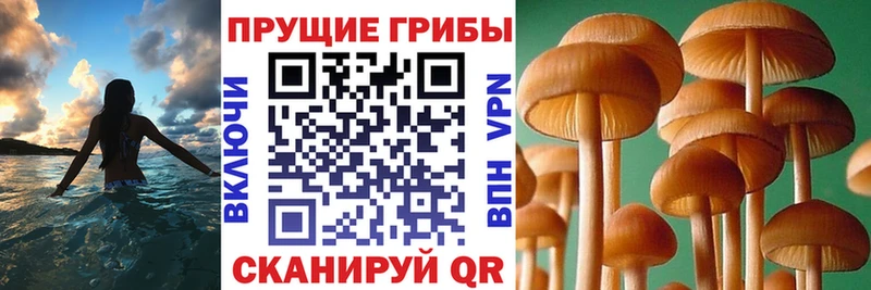 Псилоцибиновые грибы мухоморы  OMG как войти  Костерёво 